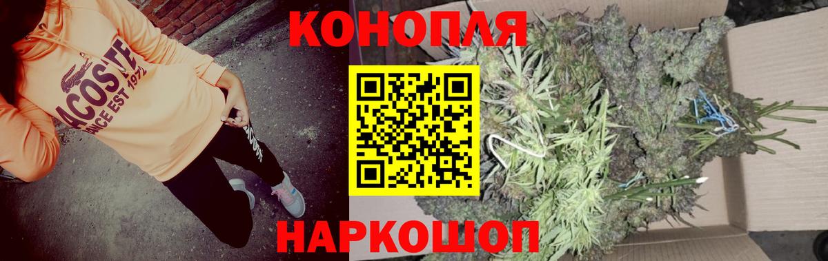 Марихуана White Widow  Бошки Шишки ГИДРОПОН  Ковров  Вход с VPN  Марихуана тримм 